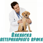Требуется Ветеринарный врач - Вакансия объявление в Сосновоборске