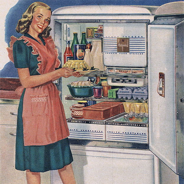 Ремонт  холодильников и бытовой техники - фотография