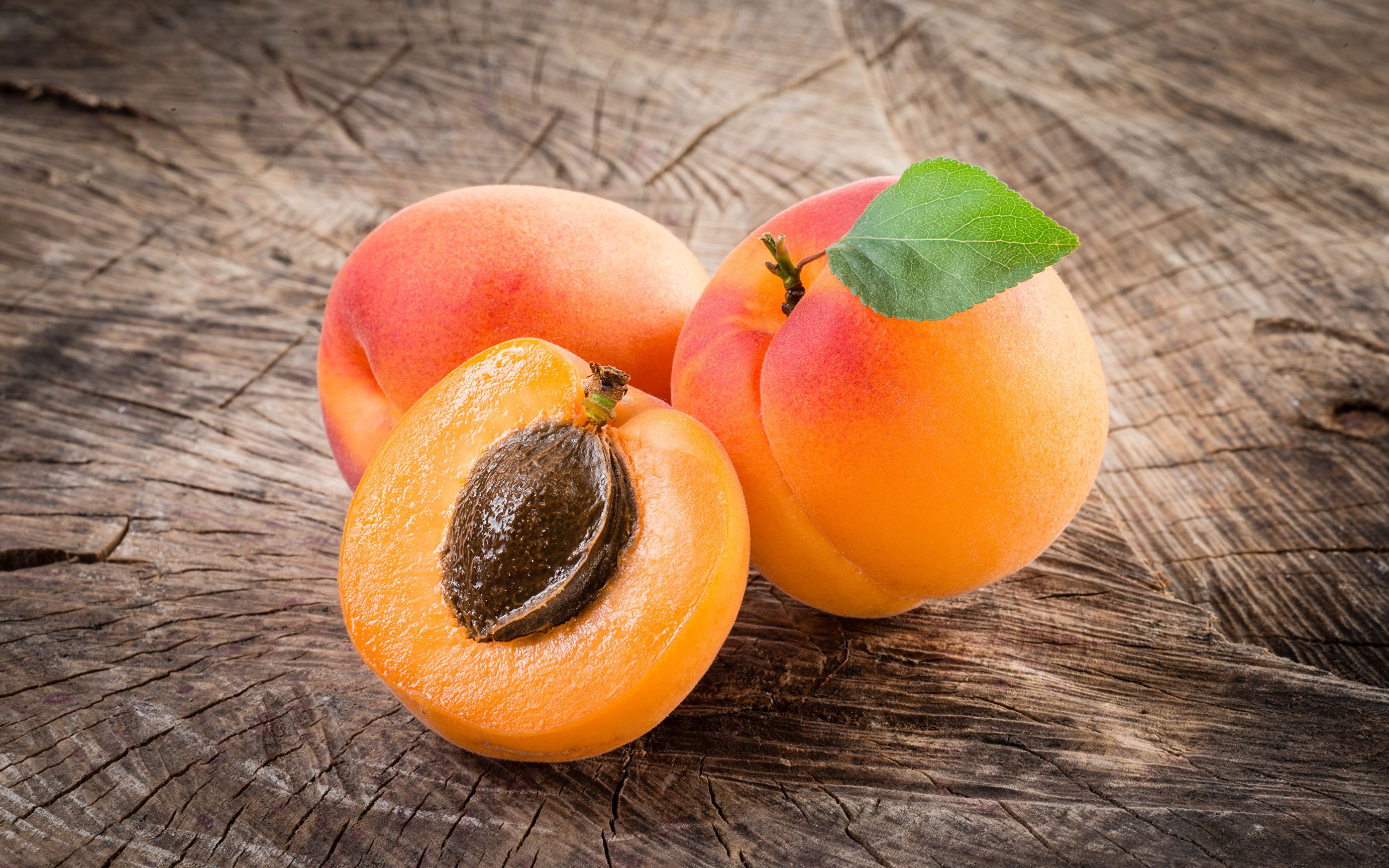 Крупномеры абрикоса по низким ценам - фотография