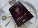 Гражданство Румынии - это европейский паспорт - Услуги объявление в Москве