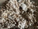 Грибная ферма Farmyc - мицелий ежовика гребенчатого на буром рисе и т.д. - Продажа объявление в Таганроге