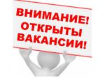 Администратор интернет-магазина  - Вакансия объявление в Карабаше