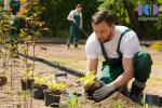 Разнорабочие для работы в питомнике растений (без опыта) - Вакансия объявление в Гатчине