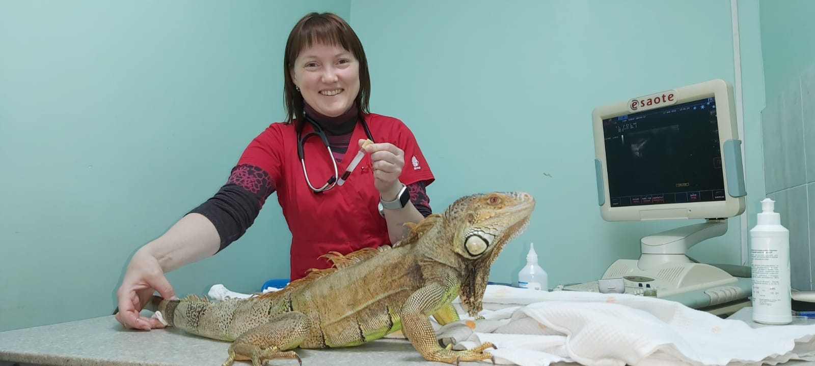 Лечение рептилий в Москве. - фотография