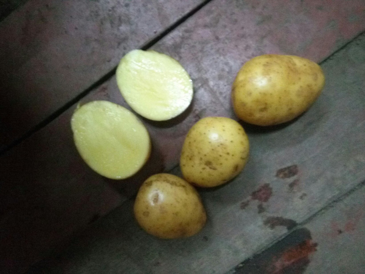 Продовольственный и семенной картофель оптом. - фотография